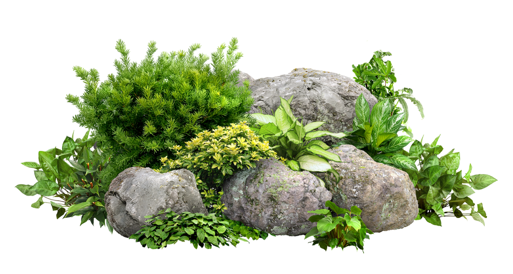 shutterstock 1751169293